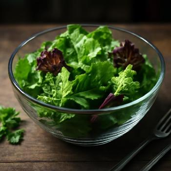 Tips for Storing Various Salad Greens to Maximize Freshness